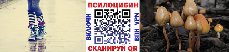 Псилоцибиновые грибы ЛСД  хочу   Себеж 